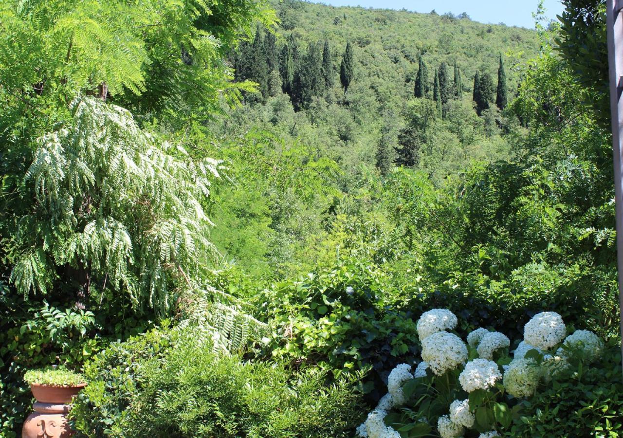 Ulivo Rosso Bed & Breakfast Sesto Fiorentino Eksteriør bilde