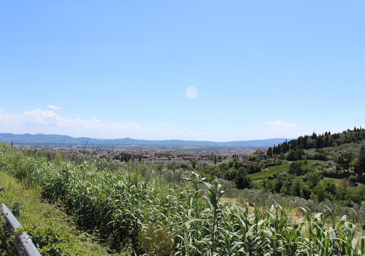 Ulivo Rosso Bed & Breakfast Sesto Fiorentino Eksteriør bilde